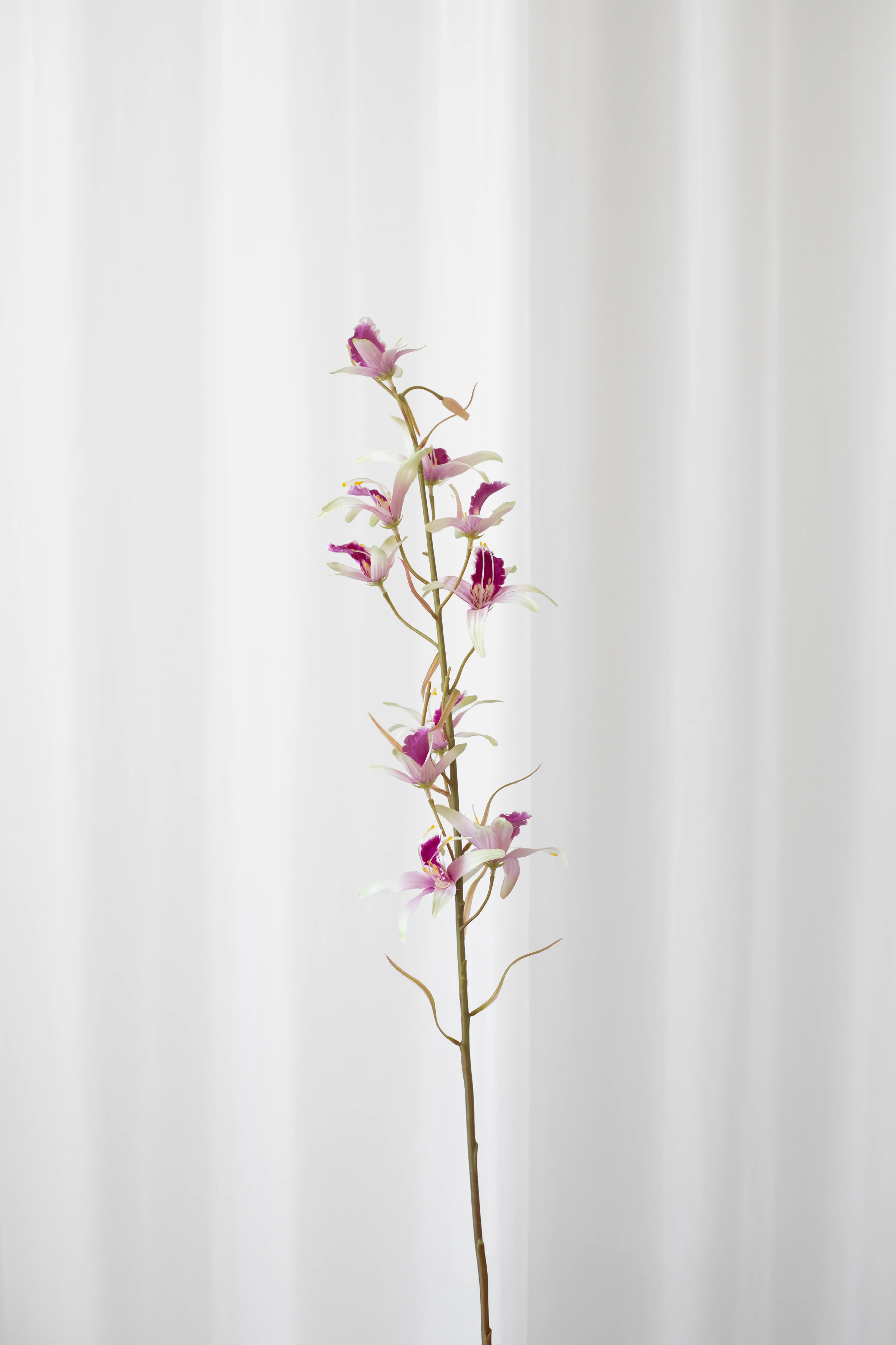 Miniaturebillede 1