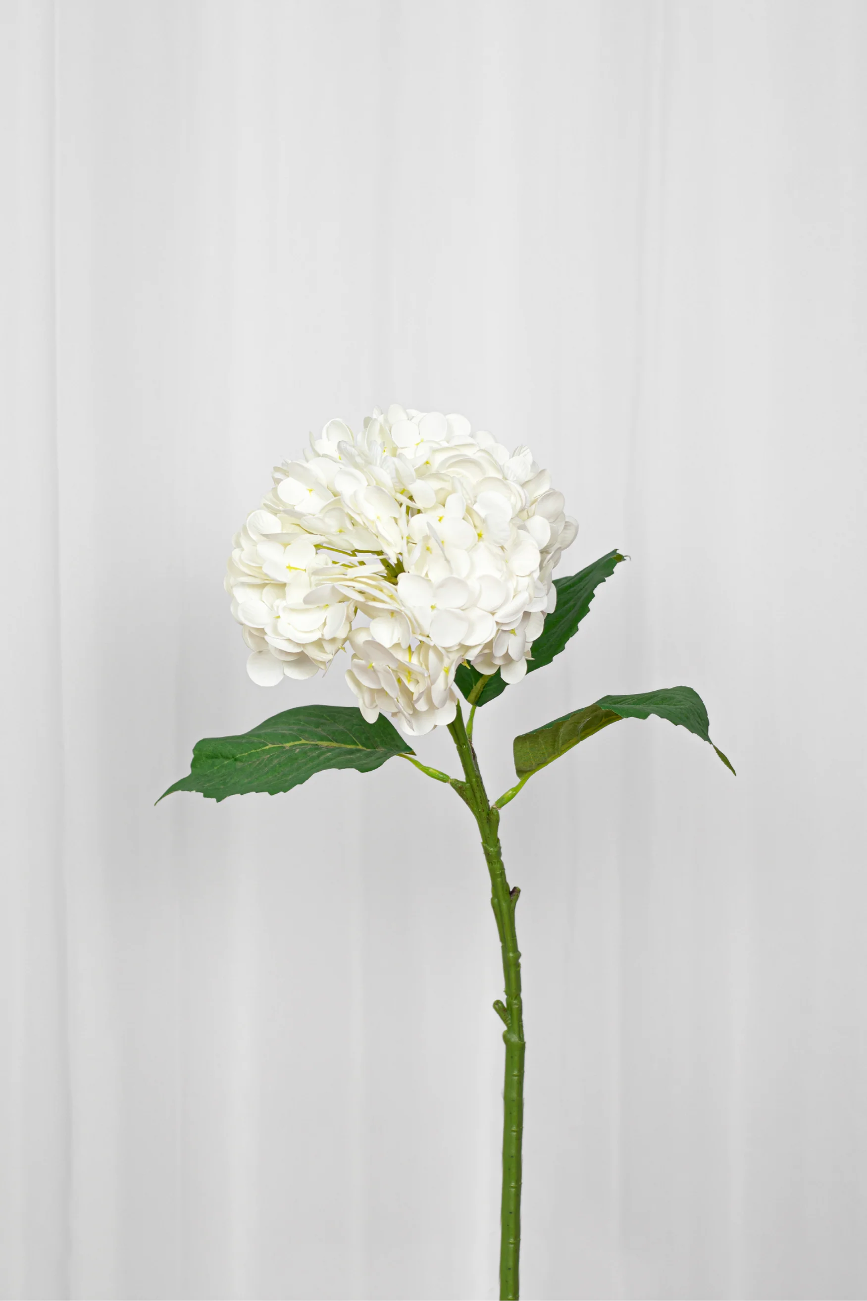Miniaturebillede 1