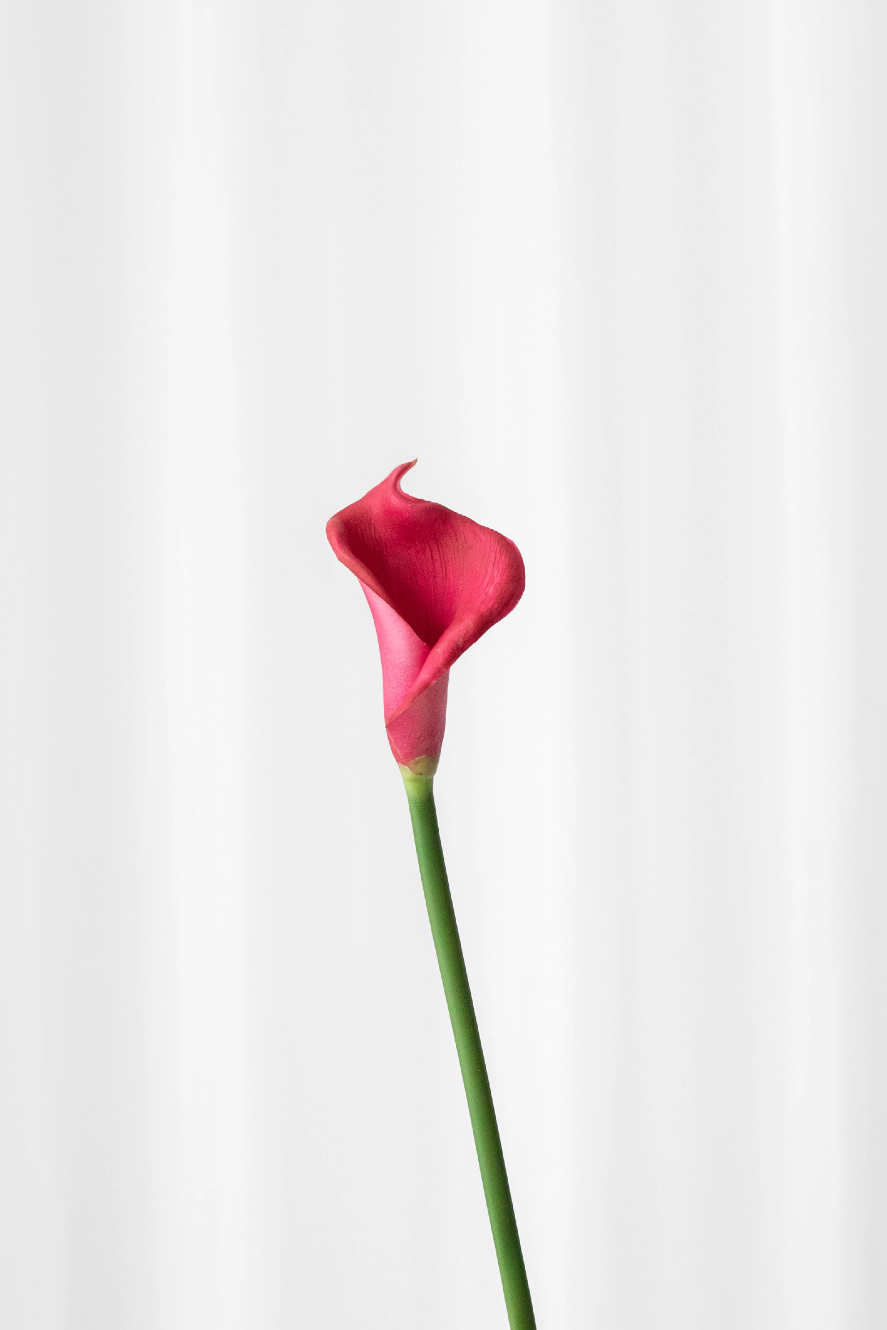 Miniaturebillede 1